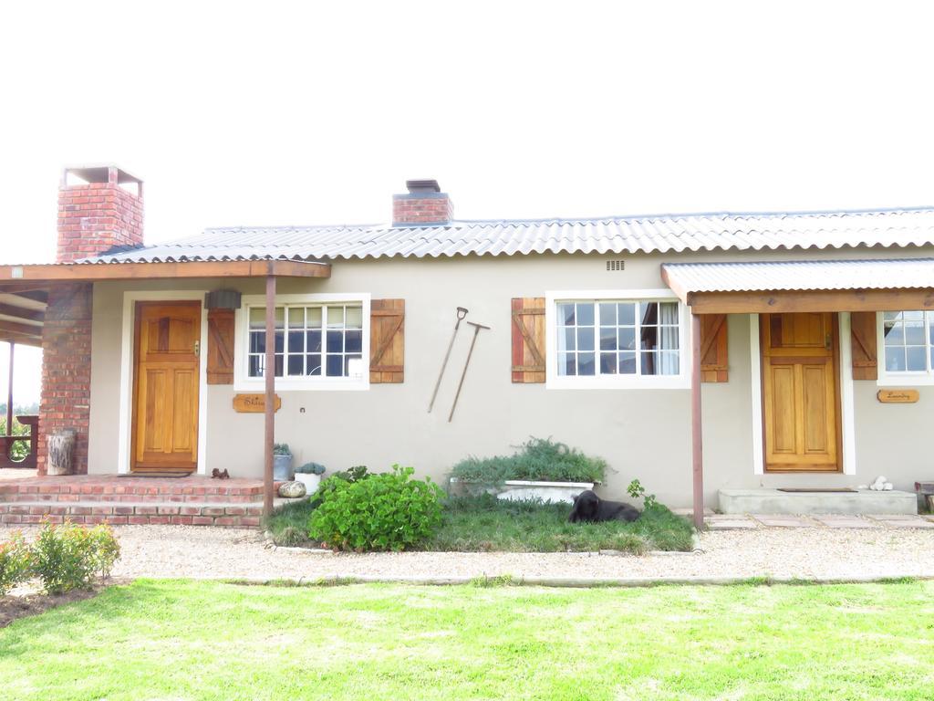 Seven Oaks Vineyard Cottages Wolseley Exterior foto
